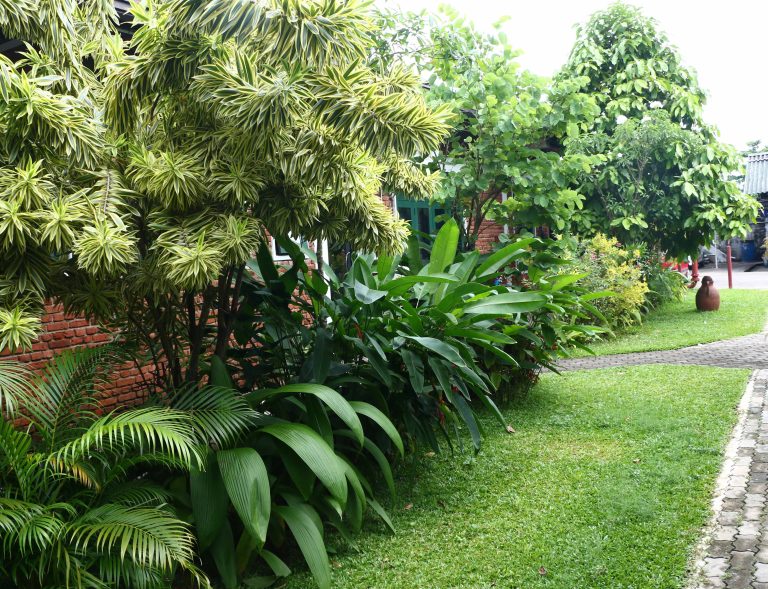 Environmental Initiatives